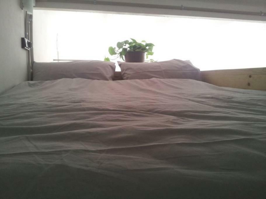Lovely Double Apartment - Sagrada Familia Barcelona Eksteriør bilde